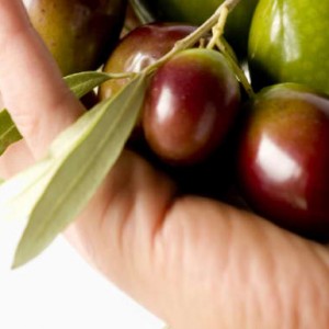 Handful of olives
